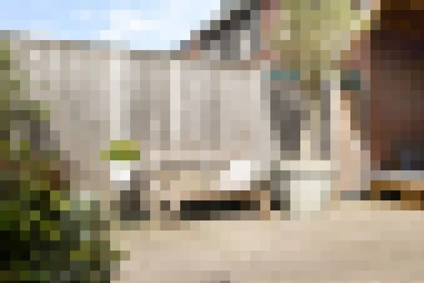 Klimme 21 Leeuwarden thumbnail 17