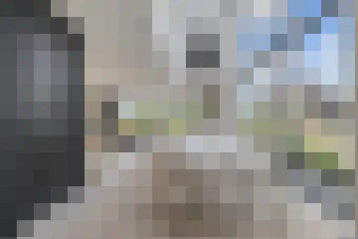 Klimme 51 Leeuwarden thumbnail 17