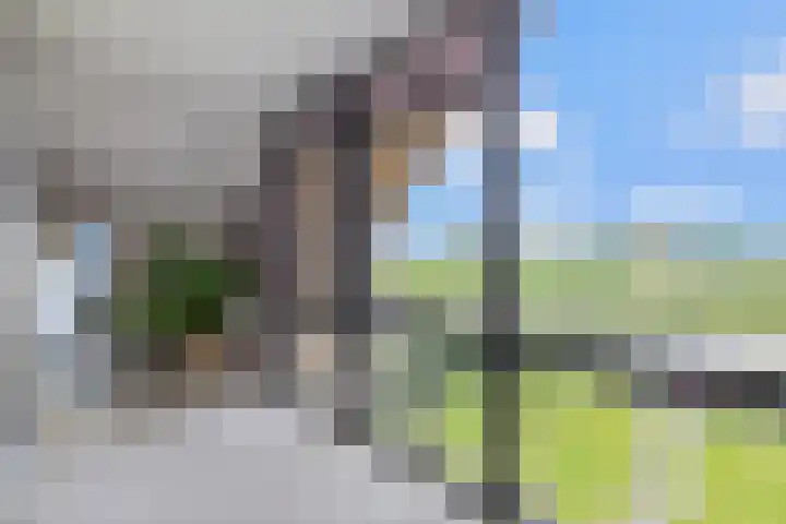 Klimme 51 Leeuwarden thumbnail 34