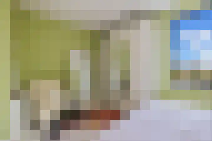 Klimme 51 Leeuwarden thumbnail 38