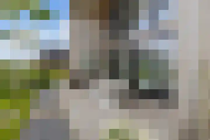 Klimme 51 Leeuwarden thumbnail 44