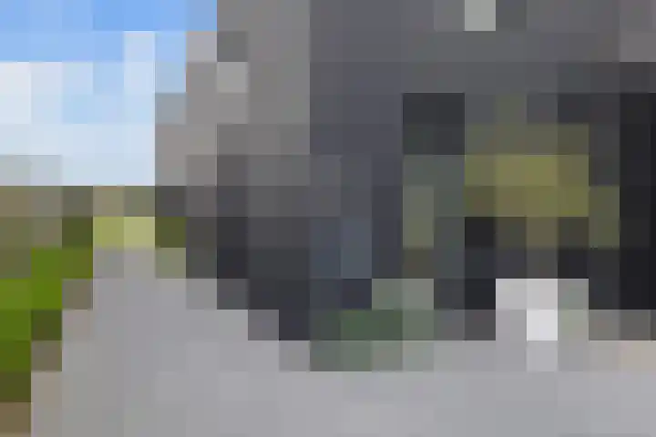 Klimme 51 Leeuwarden thumbnail 6