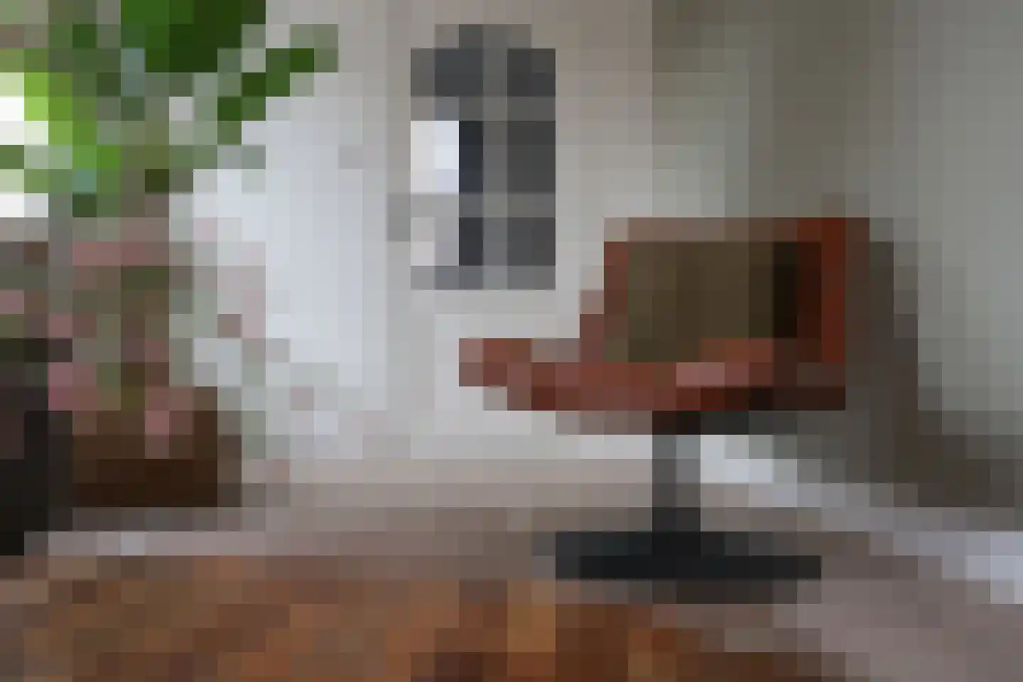 Klimmenerweg 1 Hulsberg thumbnail 9