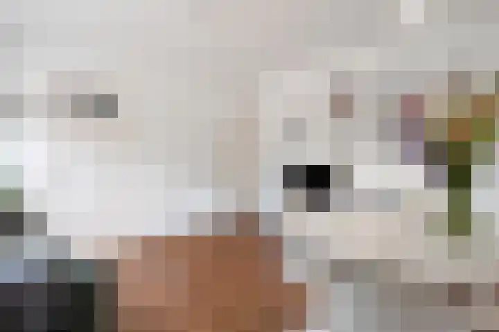 Klimmenerweg 3 Hulsberg thumbnail 9