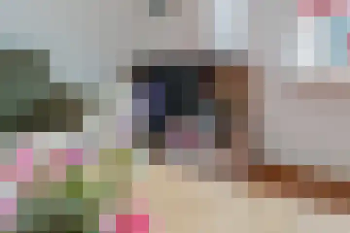 Klimop 1 Roden thumbnail 12