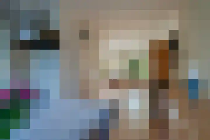 Klimop 1 Roden thumbnail 17