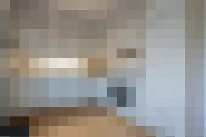 Klimop 1 Roden thumbnail 19