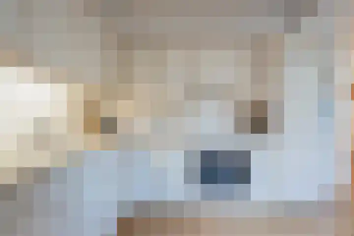 Klimop 1 Roden thumbnail 20