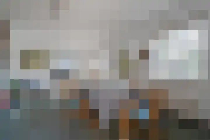 Klimop 1 Roden thumbnail 21