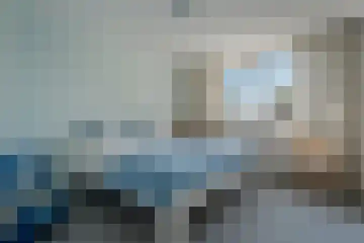 Klimop 1 Roden thumbnail 25
