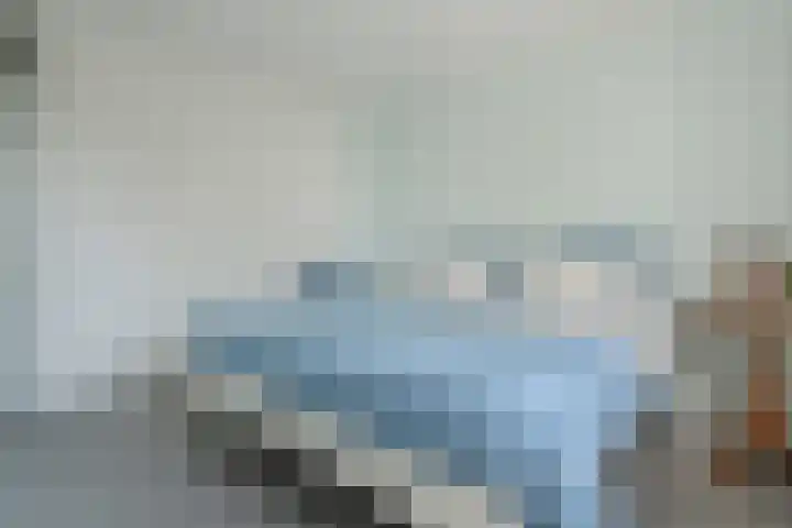 Klimop 1 Roden thumbnail 26