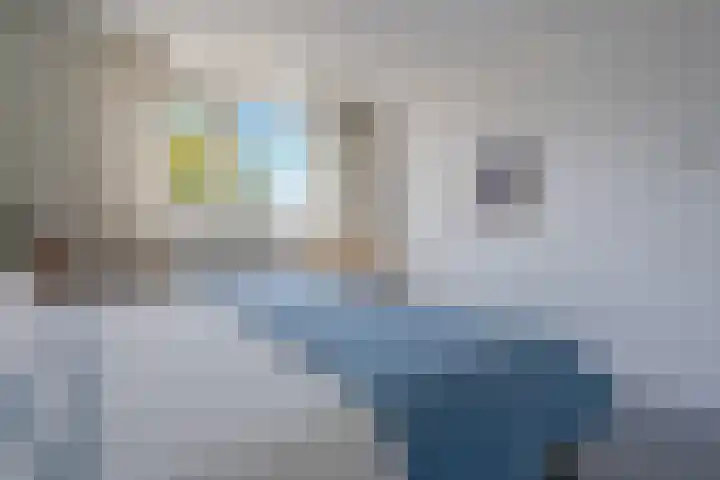 Klimop 1 Roden thumbnail 27
