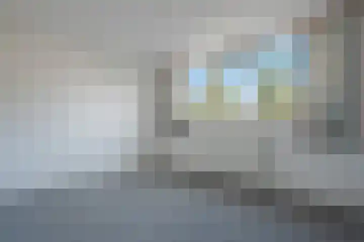 Klimop 1 Roden thumbnail 28