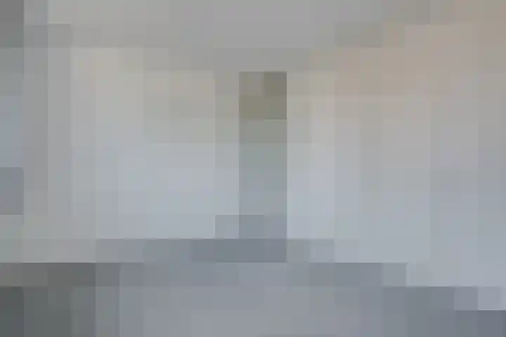 Klimop 1 Roden thumbnail 29