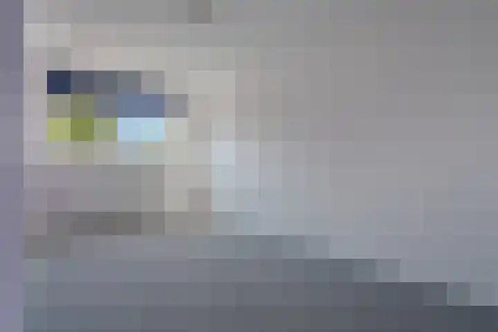 Klimop 1 Roden thumbnail 30