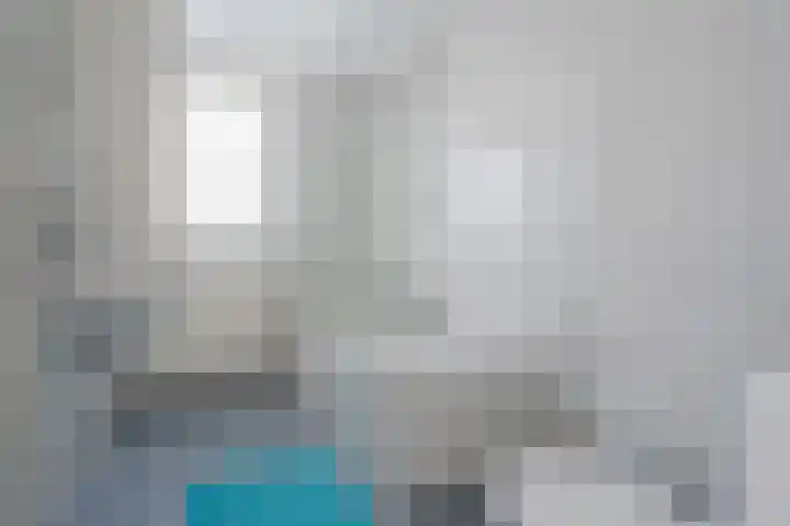 Klimop 1 Roden thumbnail 32