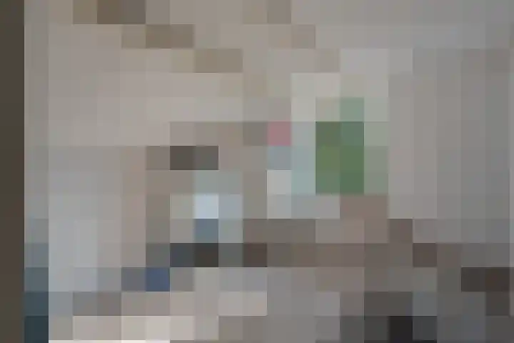 Klimop 1 Roden thumbnail 34