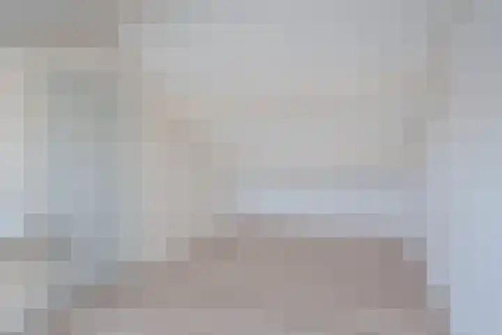 Klimop 1 Roden thumbnail 35