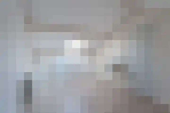 Klimop 1 Roden thumbnail 36