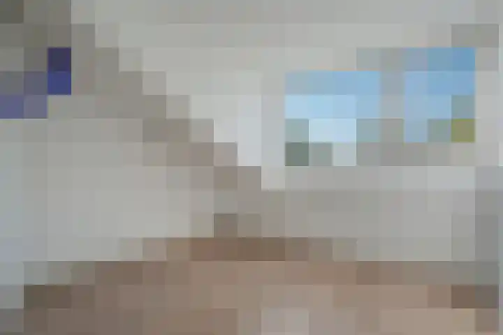 Klimop 1 Roden thumbnail 37