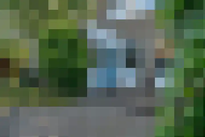 Klimop 1 Roden thumbnail 39