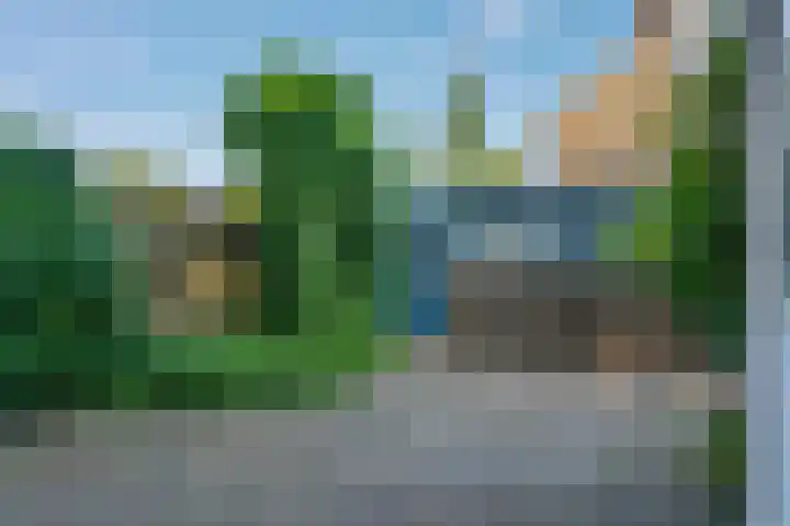 Klimop 1 Roden thumbnail 40