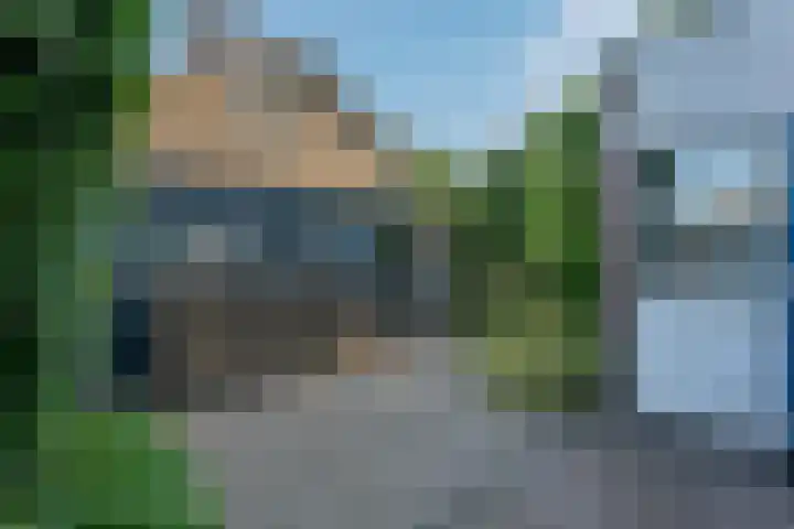 Klimop 1 Roden thumbnail 41
