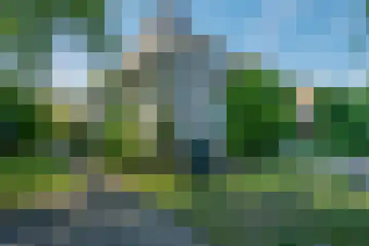 Klimop 1 Roden thumbnail 42