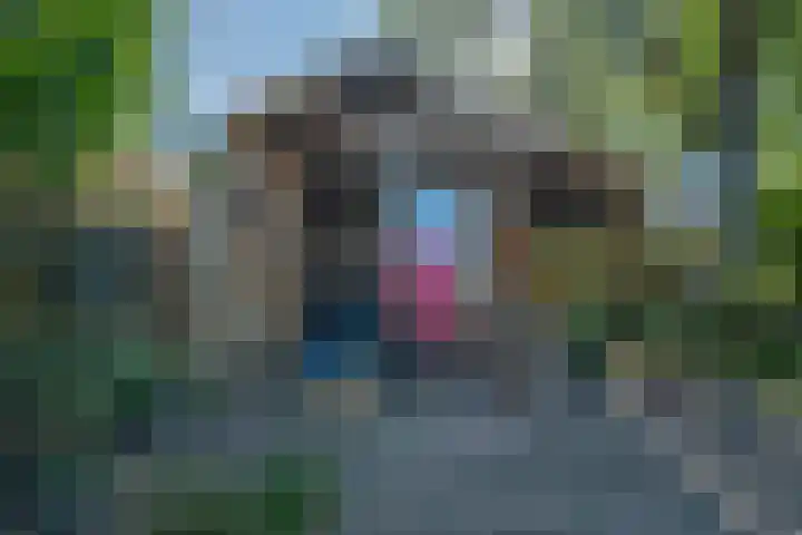 Klimop 1 Roden thumbnail 43