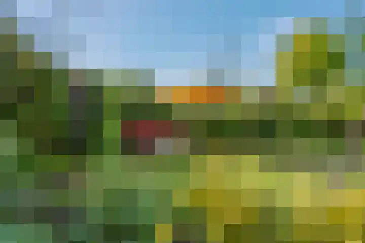 Klimop 1 Roden thumbnail 47