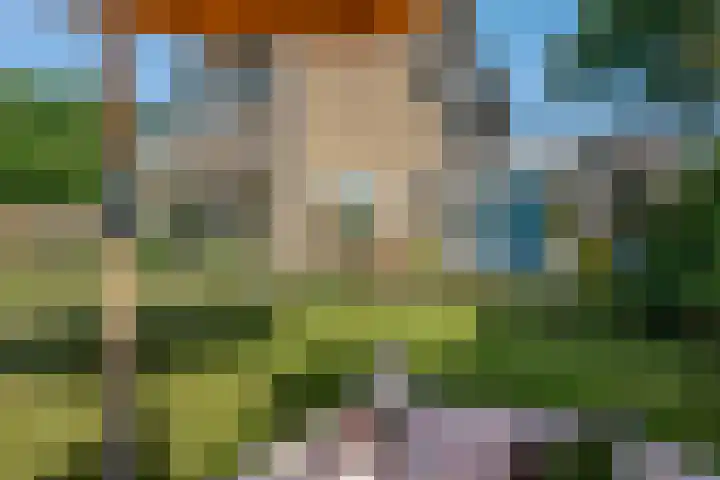 Klimop 1 Roden thumbnail 48