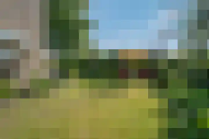 Klimop 1 Roden thumbnail 49
