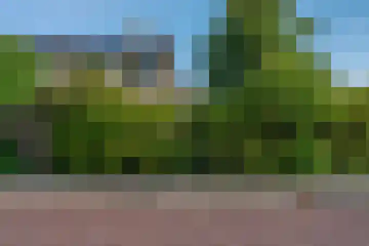 Klimop 1 Roden thumbnail 50