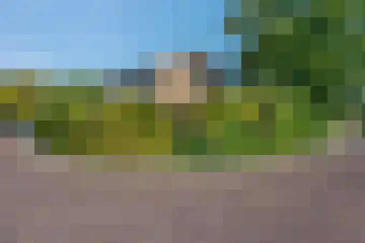 Klimop 1 Roden thumbnail 51