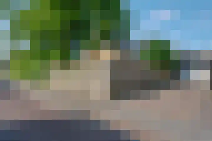 Klimop 1 Roden thumbnail 52