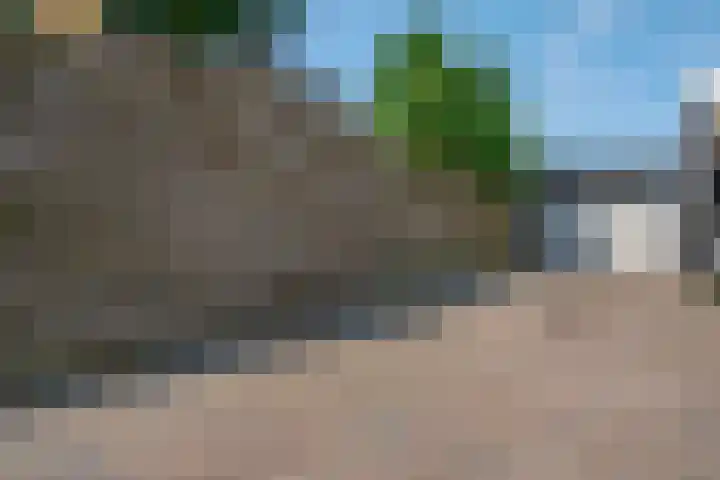 Klimop 1 Roden thumbnail 53