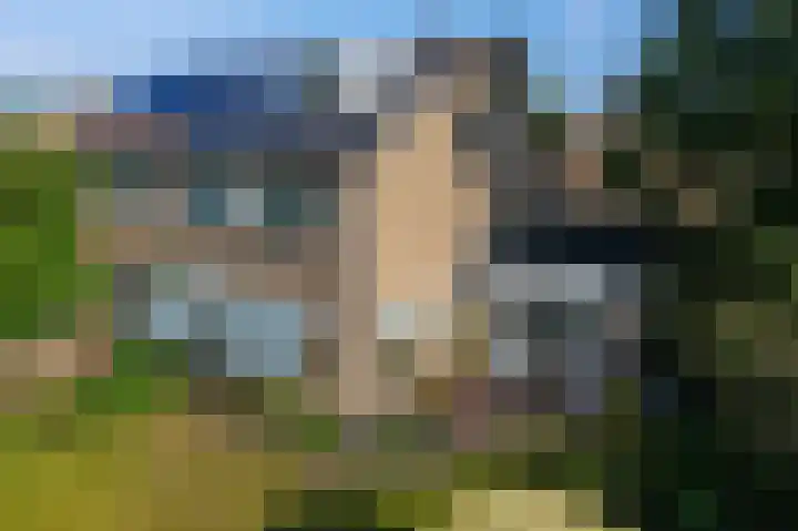 Klimop 1 Roden thumbnail 54