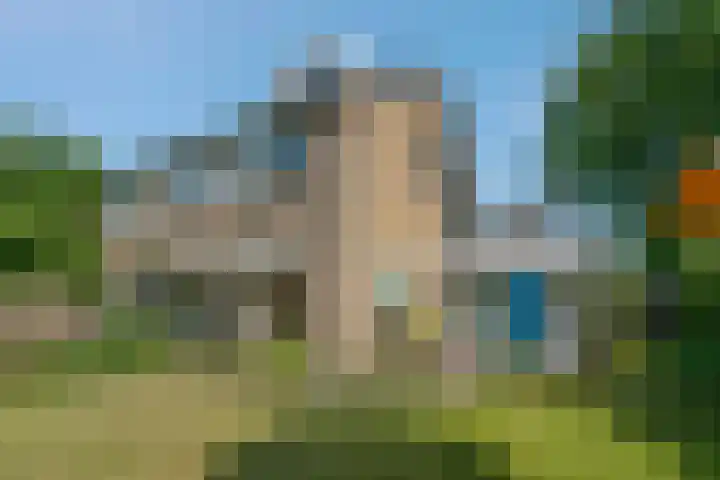 Klimop 1 Roden thumbnail 58