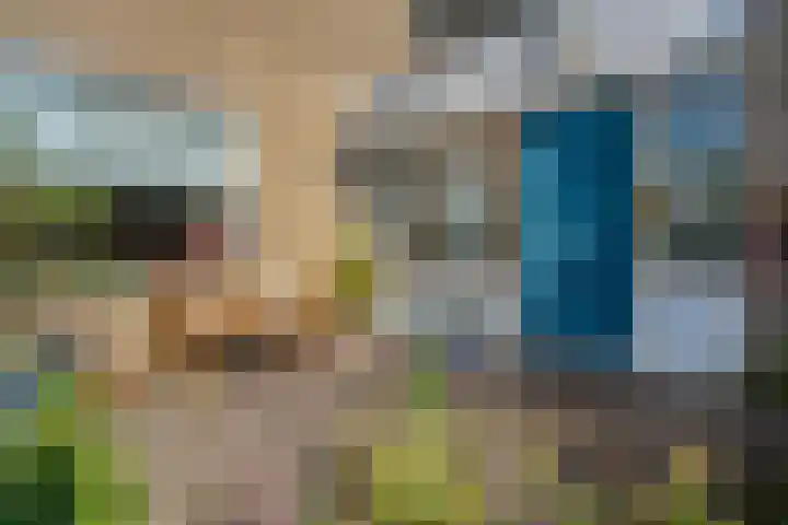 Klimop 1 Roden thumbnail 6