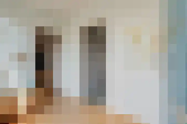 Klimop 1 Roden thumbnail 7