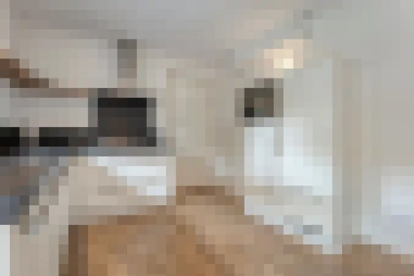 Klimop 6 Harbrinkhoek thumbnail 13