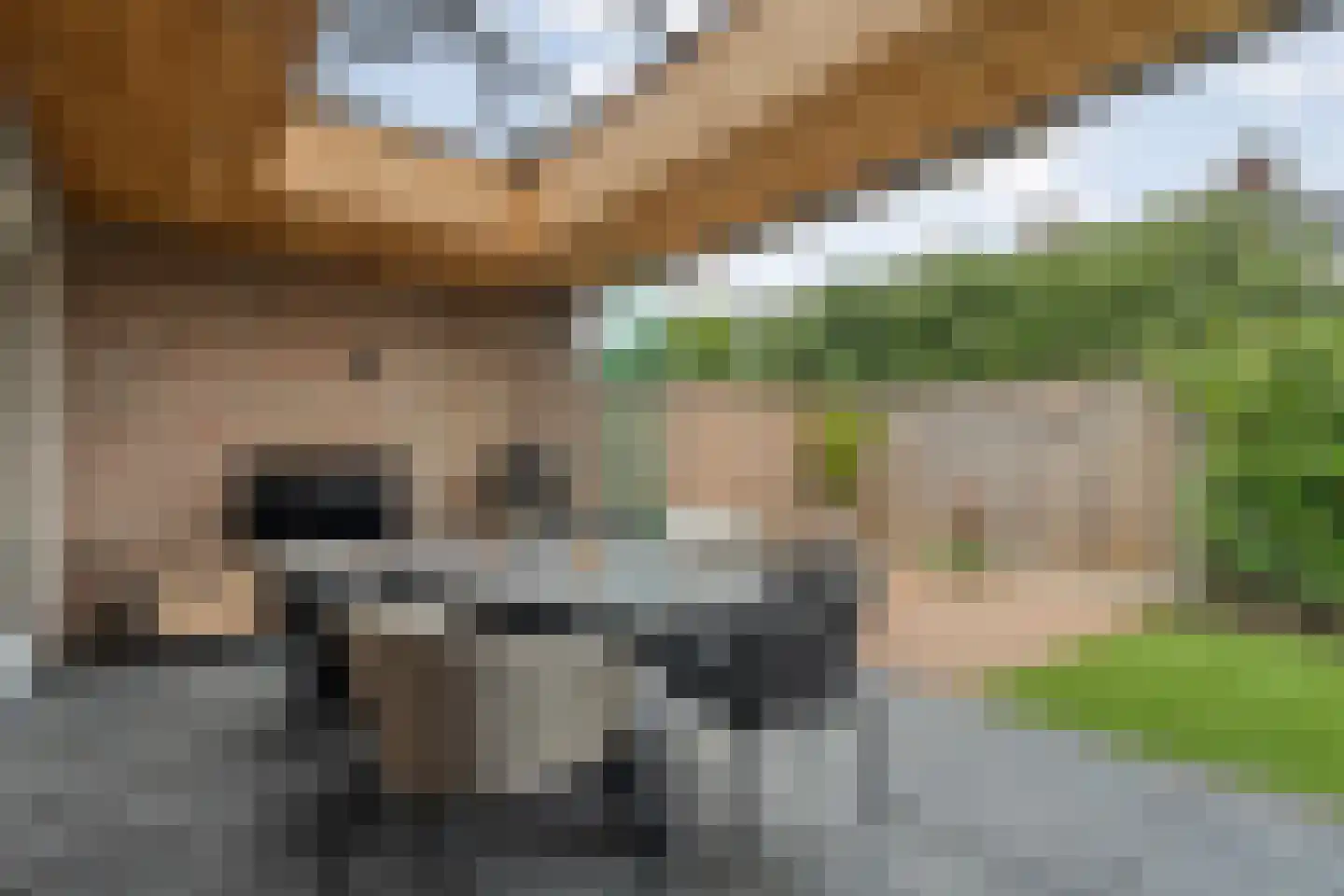 Klimop 6 Harbrinkhoek thumbnail 26