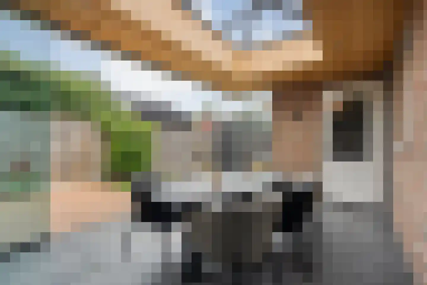 Klimop 6 Harbrinkhoek thumbnail 28