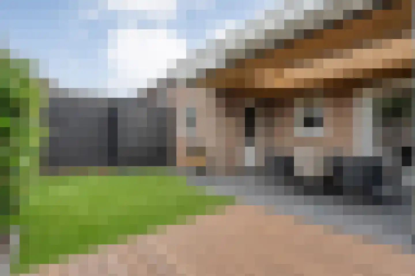 Klimop 6 Harbrinkhoek thumbnail 30
