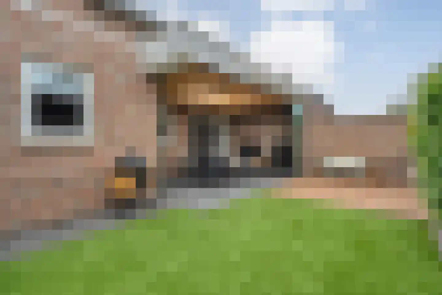 Klimop 6 Harbrinkhoek thumbnail 31