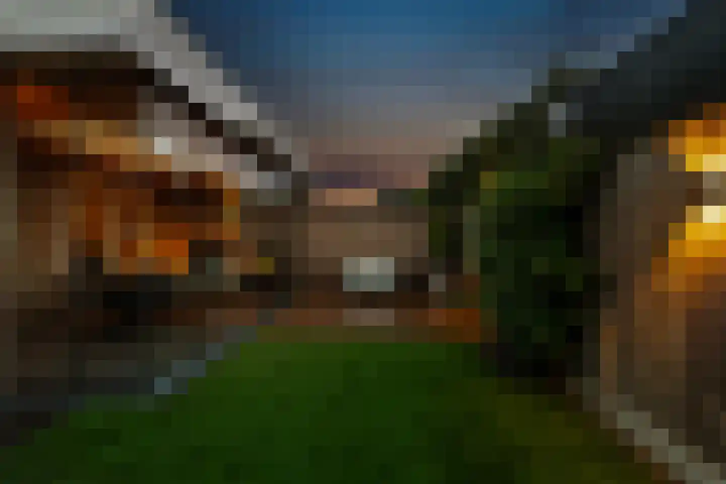 Klimop 6 Harbrinkhoek thumbnail 32