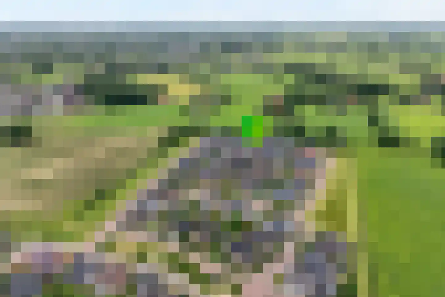 Klimop 6 Harbrinkhoek thumbnail 35