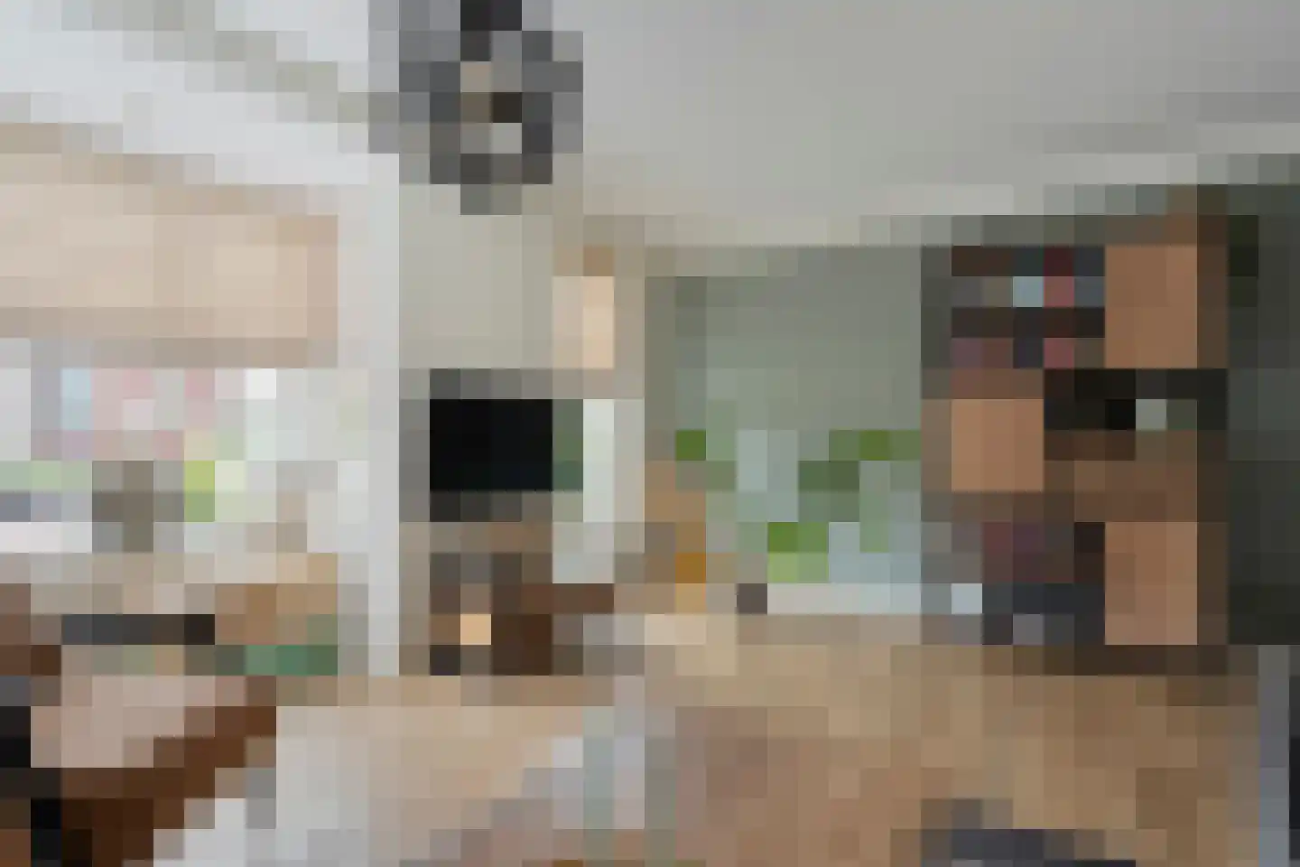 Klimop 6 Harbrinkhoek thumbnail 9