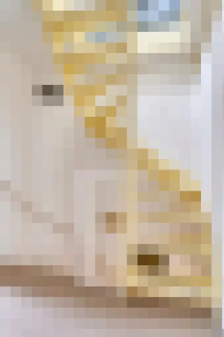 Klimopberg 137 Roosendaal thumbnail 16
