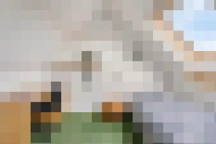 Klimopberg 137 Roosendaal thumbnail 29